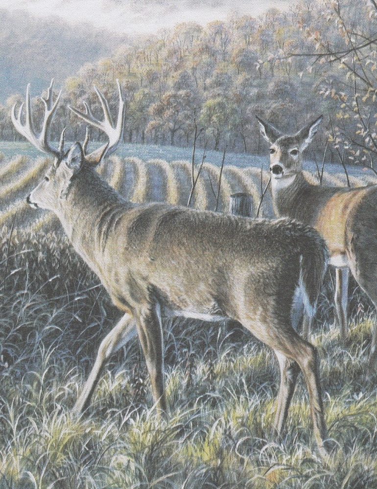 Robert "Belushi" S. Moucha 2024 Leiser Funeral Home