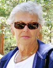 Darlene Ann Belluomini