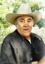 Guadalupe A. Soto