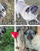 Francie "Fancy Pants" Levay