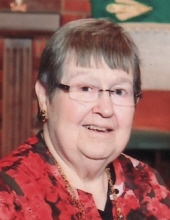 Nancy C. Holtz