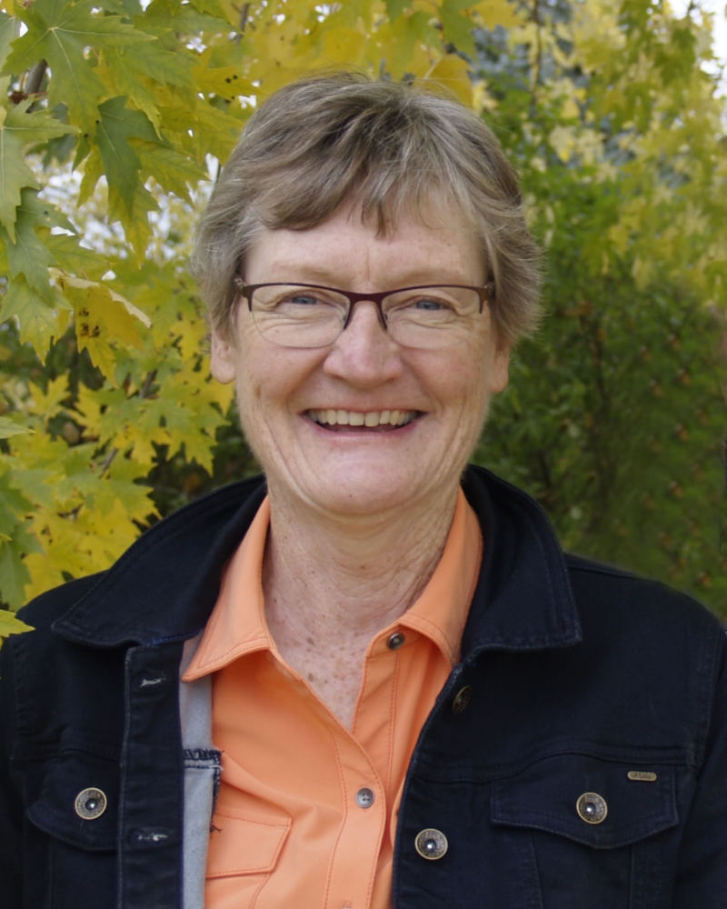 Diane Parkinson 2020 BUILDER DEMO