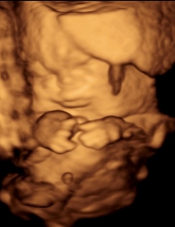 Zoey Ann Powell - 2024 - Smith Funeral Chapel