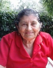 Photo of Mercedes Palma Cruz