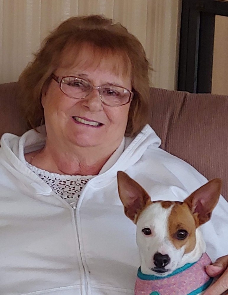 Susan A. Lomas Obituary - Thompson Spring Grove Funeral Home