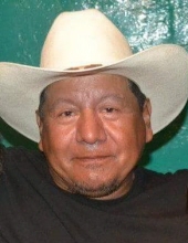 J Refugio Sanchez Martinez