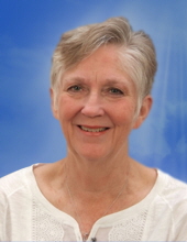 Judy Kay Stein 3313520