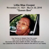 Lillie Mae Cooper 3319868