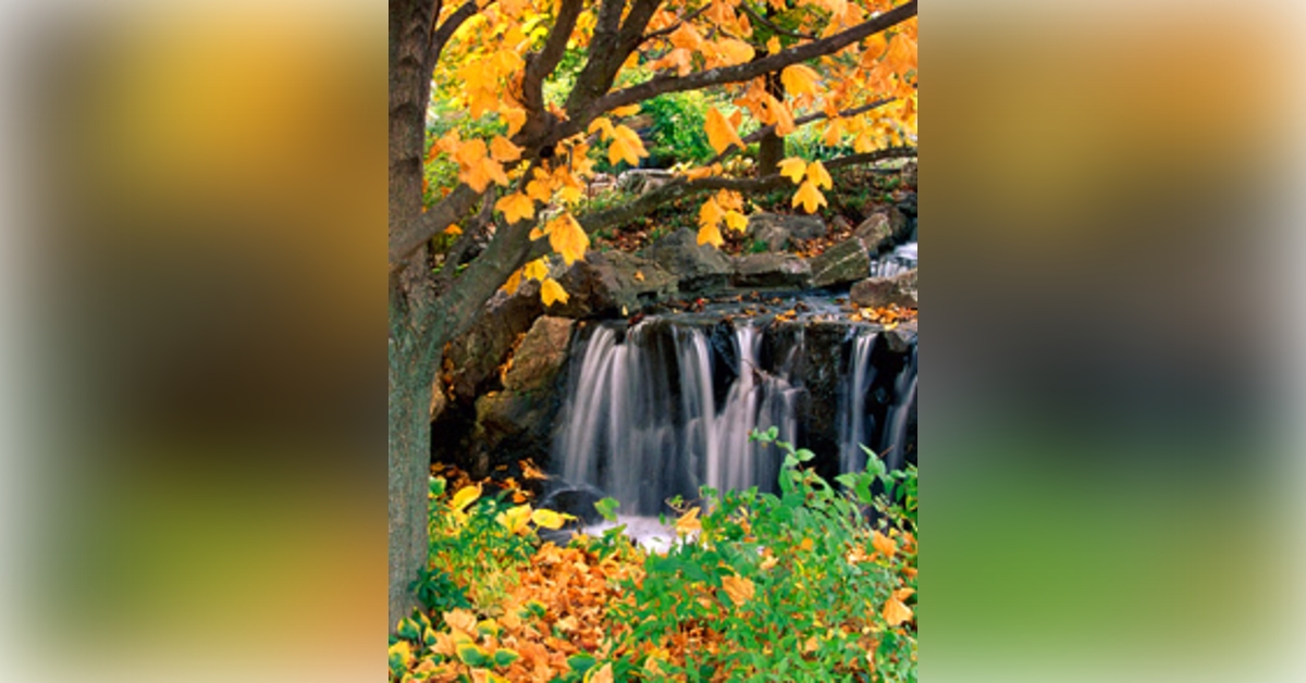 Obituary information for Isidora De La Fuente