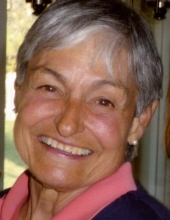 Susan L. Kluender