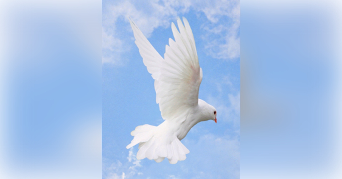 Obituary information for Christine Yvonne Holt