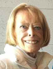 Ann D. Buonaccorsi