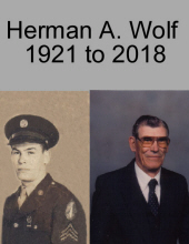 Photo of HERMAN WOLF