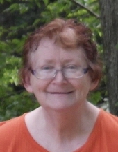 Diane Beryl Schneider
