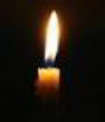 Duane Kruger 3488938