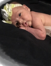 Amora Rose Pressnell