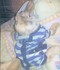 Photo of Thumper Senay