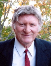 Michael M. Hoel