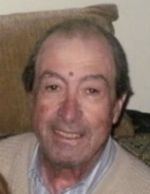 Jose P. Lemos