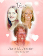 Diane  M. Brenner 4038421
