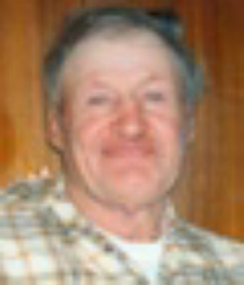 Dale Bannerman Stayner, Ontario Obituary