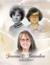 Joanne C. Brandon 4216018