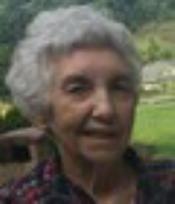 Mary Ann Nice McDonald, Pennsylvania Obituary