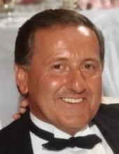 Louis A. Petrucci Jr.