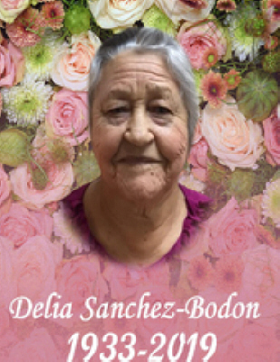 Delia Sanchez-Bodon Springfield, Massachusetts Obituary