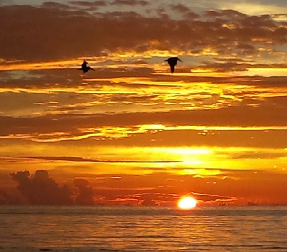 Elaine A. Collins 2019 Stretch Funeral Home