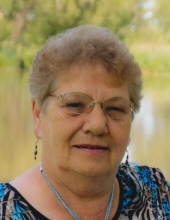 Janice L. Wenndt