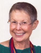 Nancy Menconi Orland Park, Illinois Obituary
