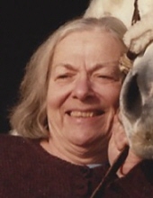 Frances Mayer Perlman