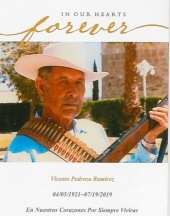 Vicente Pedroza