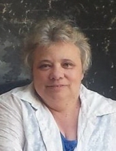Teri Lynn Hohlstein