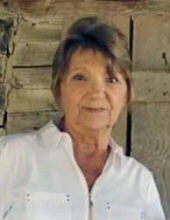 Shirley  Dianne Holt