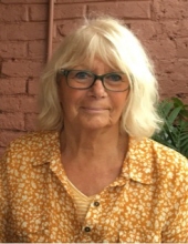 Susan Vaughan Bryers Manchester, Michigan Obituary