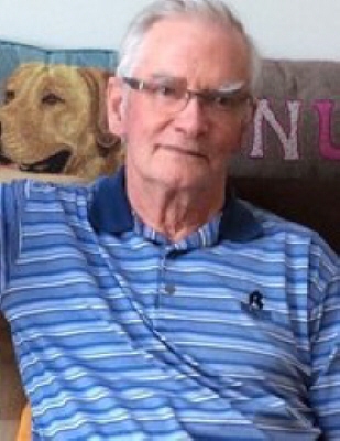 Brian Wilson Flin Flon, Manitoba Obituary
