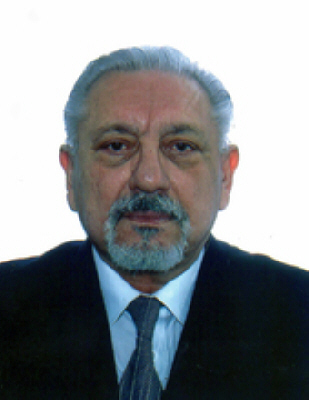 Photo of Viorel Barbu