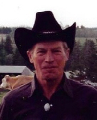 Walter Roesner Killaloe, Ontario Obituary