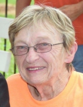 Carol Ann Feld
