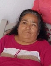 Maria Auxilio Silva