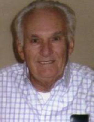 Frank Cepicka Orland Park, Illinois Obituary