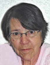 Carol  Ann Herman