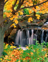 Betty Dolan Chesterhill, Ohio Obituary