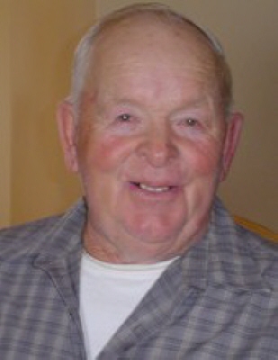 Donald Remer Omro, Wisconsin Obituary