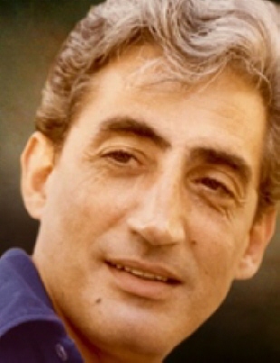 Vincenzo A. Caridi