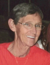Barbara Ann Cook Obituary
