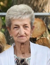 Brenda L. Adkins Obituary