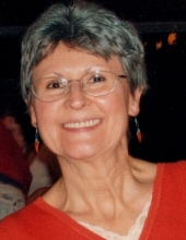 Suzanne E. DeVoid